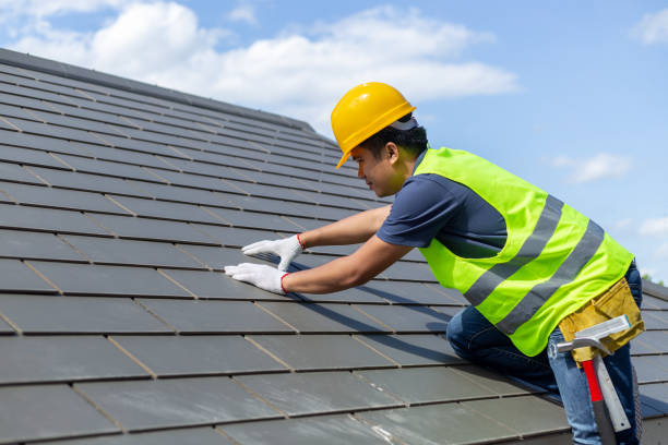 Best Roof Maintenance Services  in Blue Springs, MO