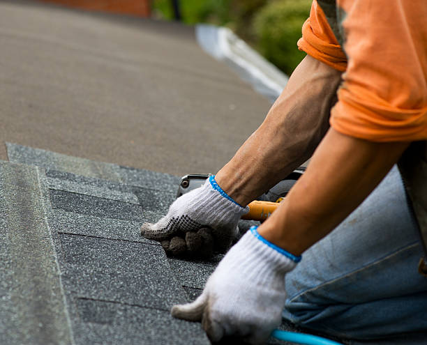 Professional Roofing Contractor in Blue Springs, MO